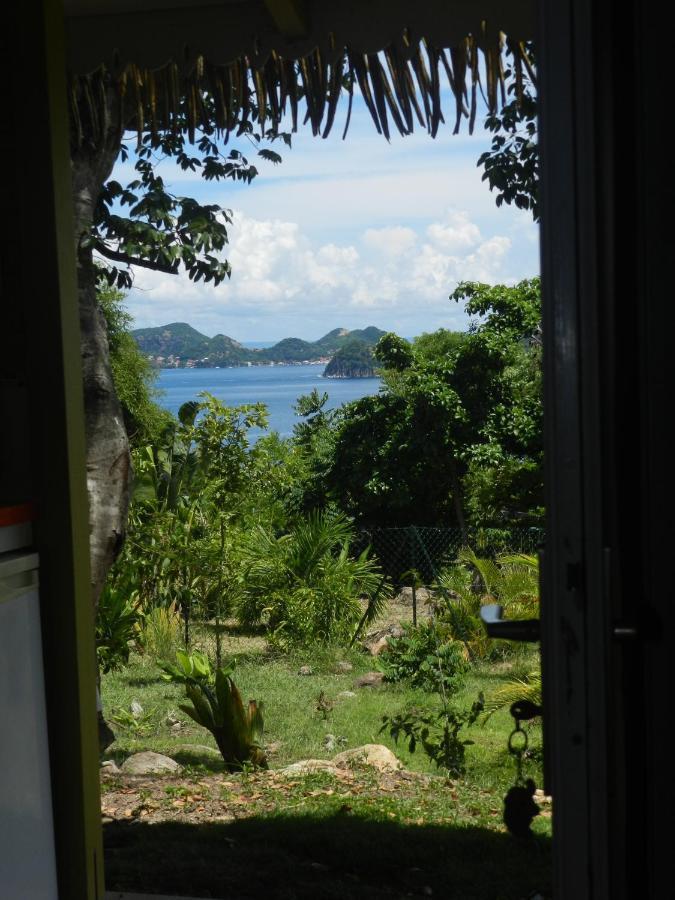 Residence Coco D'Iles, Gite Ti Bambou Terre-de-Bas ภายนอก รูปภาพ