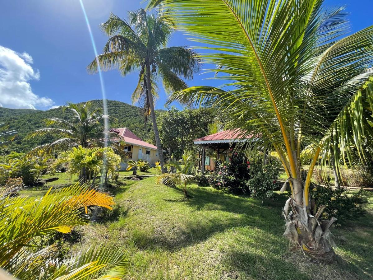 Residence Coco D'Iles, Gite Ti Bambou Terre-de-Bas ภายนอก รูปภาพ